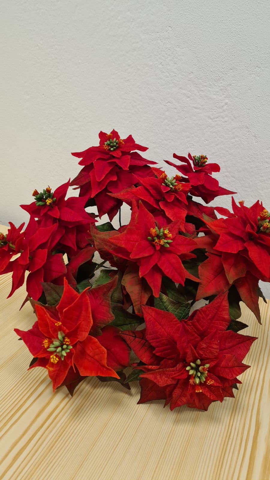 WhatsApp Image 2025-10-10 at 15.40.27 (2).jpeg